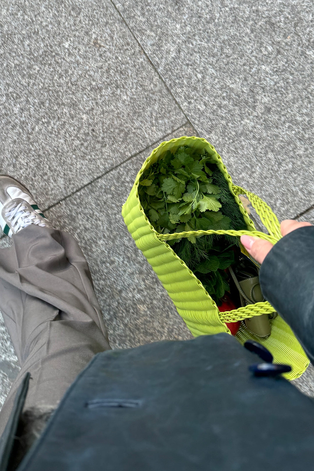 Pistazie Groß