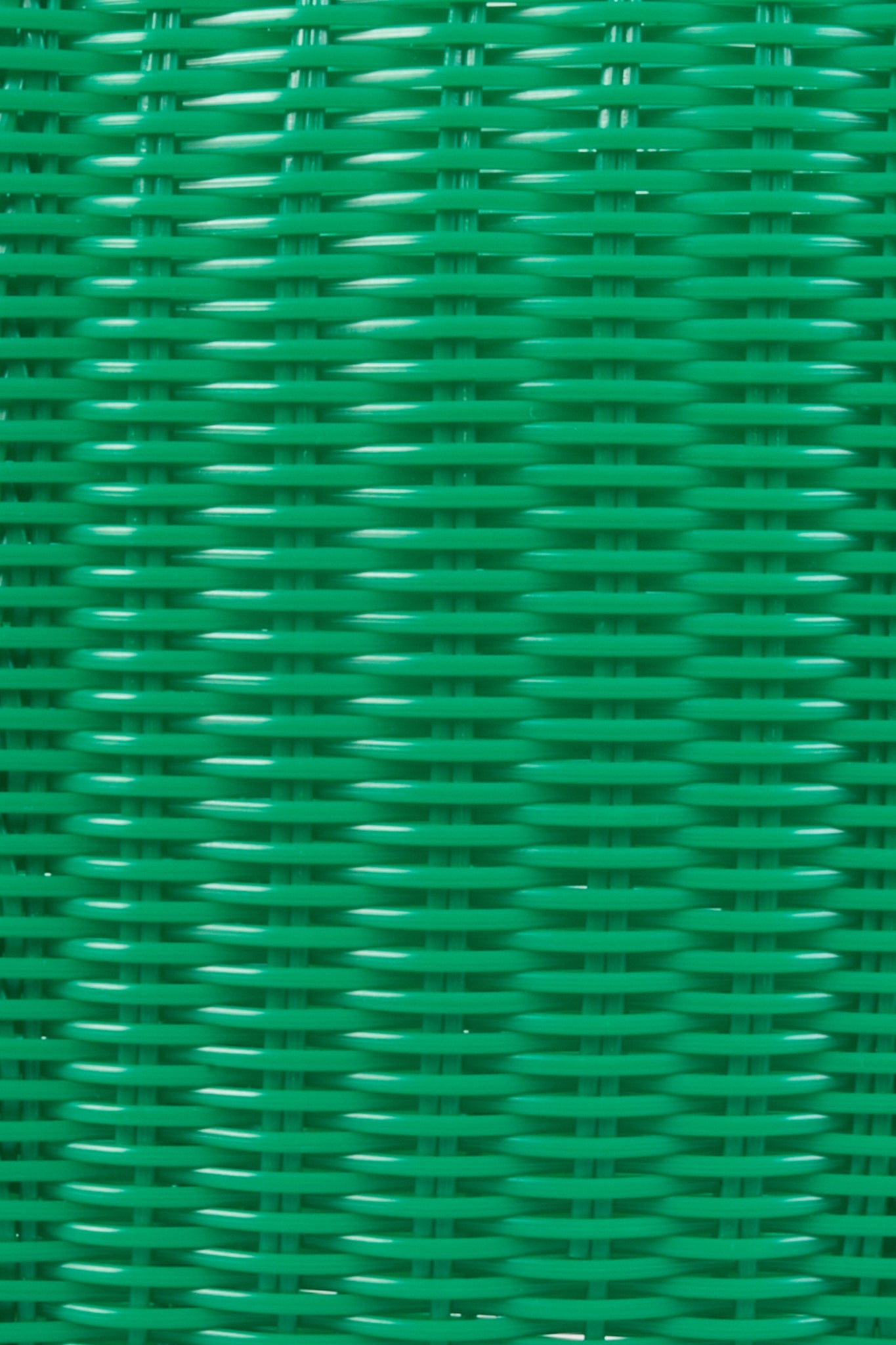 Medium Matcha